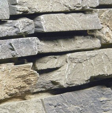 Quality Stone Limestone colour