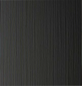 Fiberglass door - Concord Black